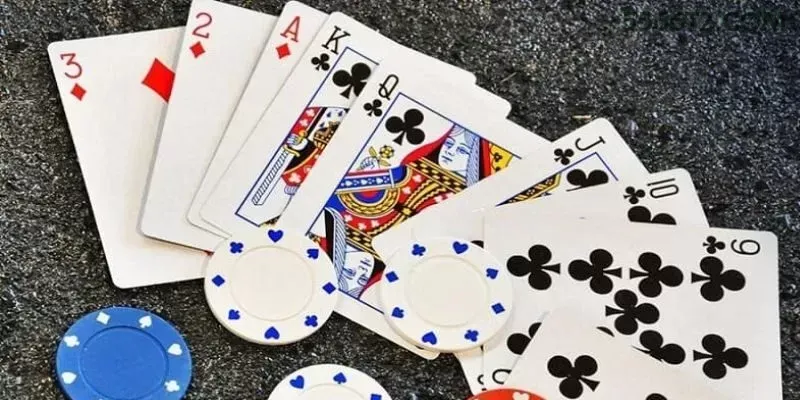 5566
